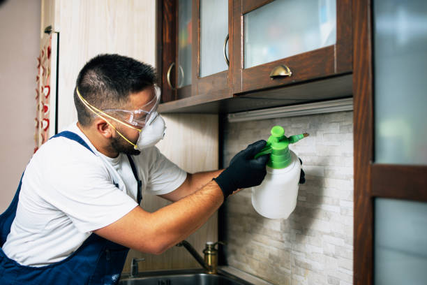 Best Affordable Pest Control Services  in Luxora, AR