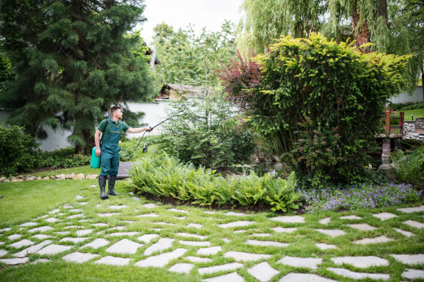 Best Pest Prevention Services  in Luxora, AR