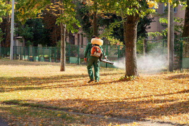 Best Exterminator Services  in Luxora, AR