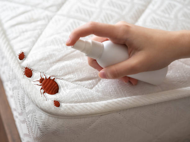 Best Local Pest Control Services  in Luxora, AR