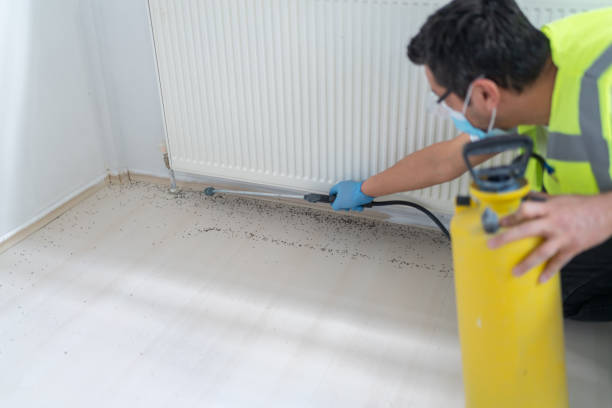 Best Best Pest Control Companies  in Luxora, AR